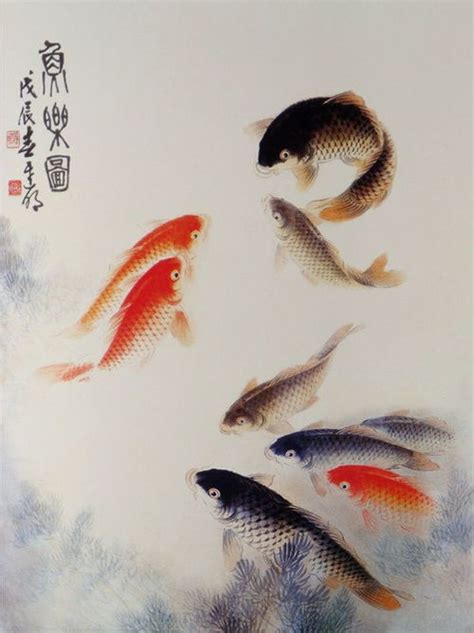 鲤鱼画|国画「鲤鱼」教学 画鲤鱼最关键一笔《金水话画》